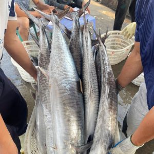 Alternative view of CÁ THU NGUYÊN CON SIZE 4KG TRỞ LÊN