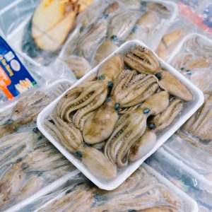 BẠCH TUỘC