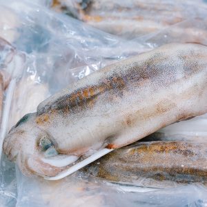 MỰC LÁ